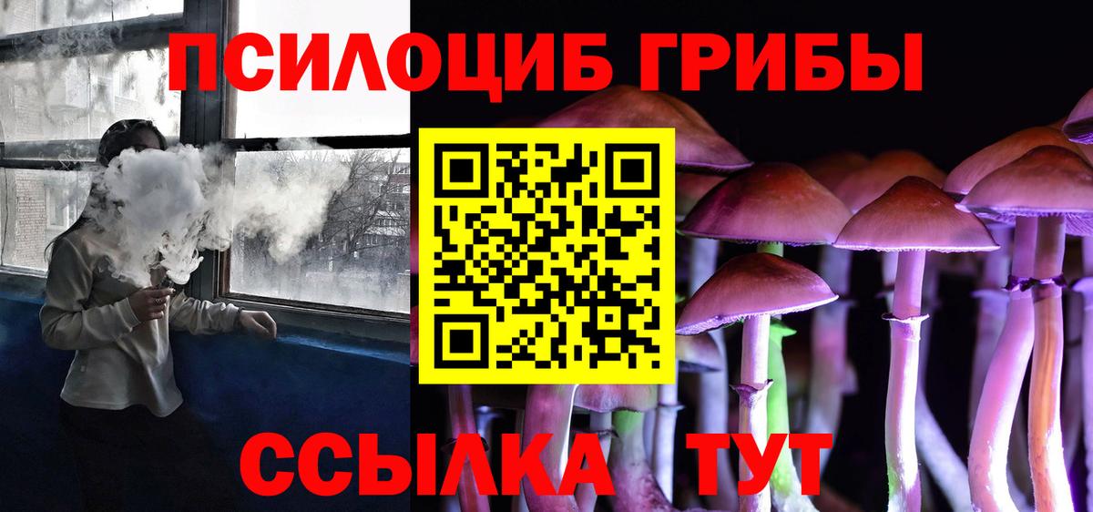 Псилоцибиновые грибы мицелий  Галлюциногенные грибы Cubensis  Вход с VPN  Нерюнгри 